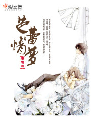芭蕾情梦在线阅读