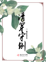 清穿守则在线阅读
