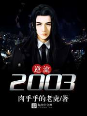 逆流2003