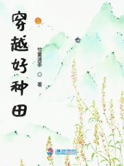 穿越好种田在线阅读
