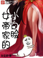 女帝家的小白脸在线阅读