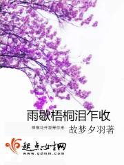 雨歇梧桐泪乍收》小说在线阅读-首发起点中文网手机端