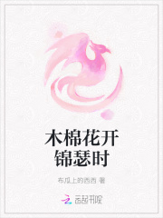 木棉花开锦瑟时