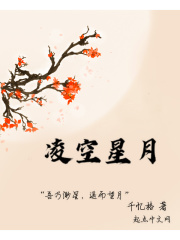 凌空星月在线阅读