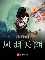 风羽天翔