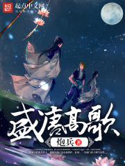 盛唐高歌在线阅读