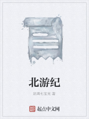 北游纪在线阅读