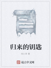 归来的钥匙在线阅读