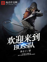 欢迎来到BOSS队在线阅读