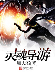 灵魂导游在线阅读