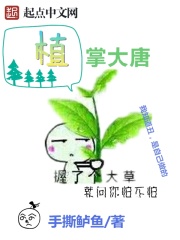 植掌大唐在线阅读