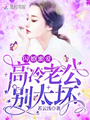 闪婚蜜爱：高冷老公，别太坏在线阅读