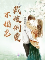不婚总裁破例爱