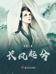 长风起兮在线阅读