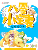 八零小宝妻在线阅读