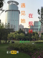 遇见她在枫林在线阅读