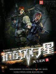 抗战双子星在线阅读