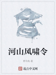 河山风啸令在线阅读