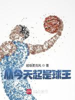 从今天起是球王最新章节在线阅读