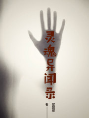 灵魂异闻录在线阅读