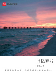 旧忆碎片在线阅读
