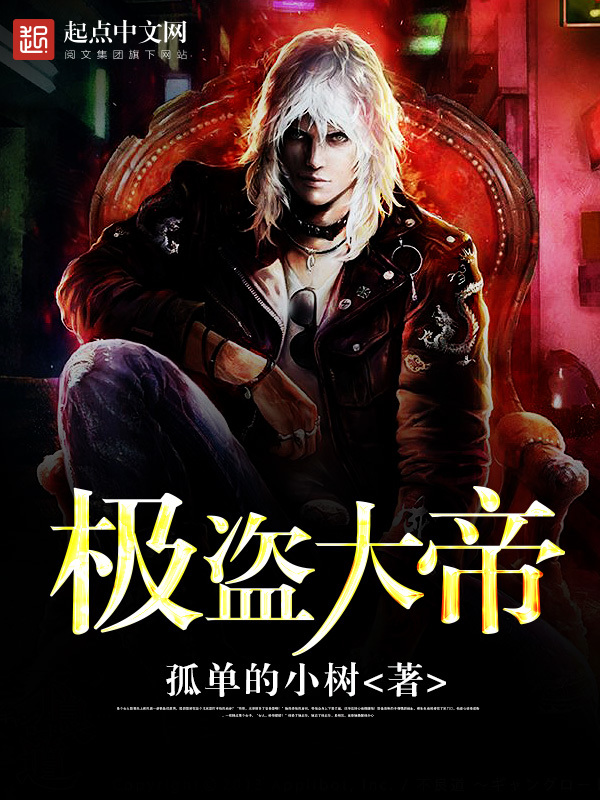 极盗大帝在线阅读