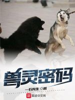 兽灵密码在线阅读