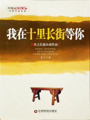 我在十里长街等你