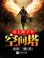 天上掉下个空间塔最新章节在线阅读