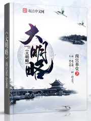 大明略在线阅读