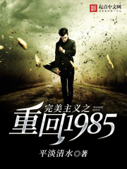 完美主义之重回1985在线阅读