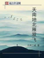 天南地北雁双飞在线阅读