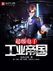 超级电子工业帝国在线阅读
