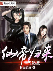 仙帝归来当奶爸在线阅读
