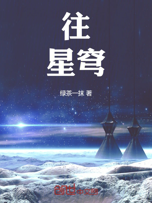 往星穹