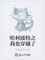 哈利波特之我也穿越了在线阅读