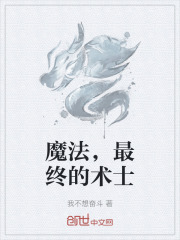 魔法，最终的术士