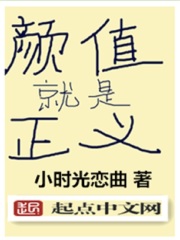 颜值就是正义在线阅读