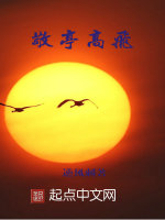 敬亭高飞封面