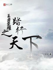 王者荣耀之踏行天下在线阅读