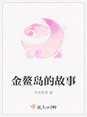 金鳌岛的故事在线阅读
