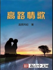 高路情歌在线阅读