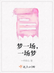 梦一场，一场梦在线阅读