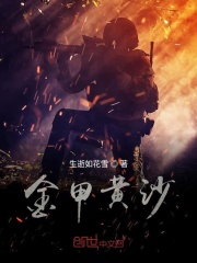 金甲黄沙