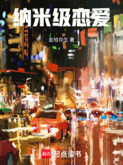 纳米级恋爱在线阅读