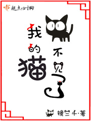 我的猫不见了在线阅读