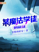 某魔法学徒的远征在线阅读