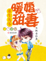 重生九零暖婚甜妻在线阅读