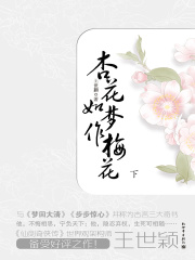 杏花如梦作梅花（下）