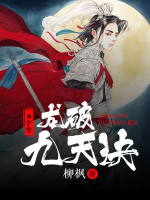 龙破九天诀封面